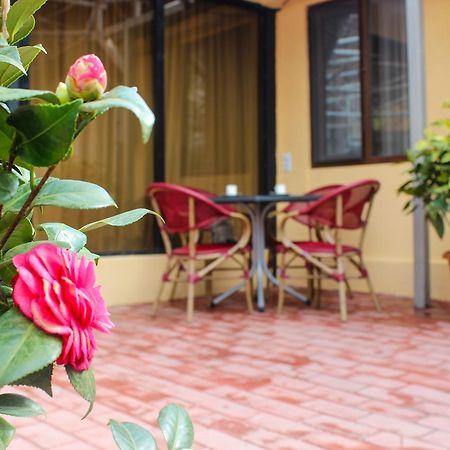 Lasha Apartment Tbilisi Buitenkant foto
